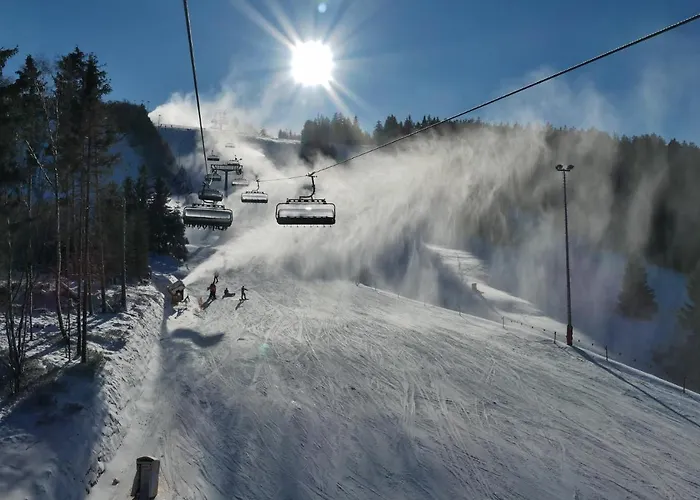 Appartamento Sauerlandglueck Mit Meinecardplus Willingen (Upland)